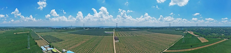 1684148790358018.jpg 優(yōu)德隆180全景圖2.jpg